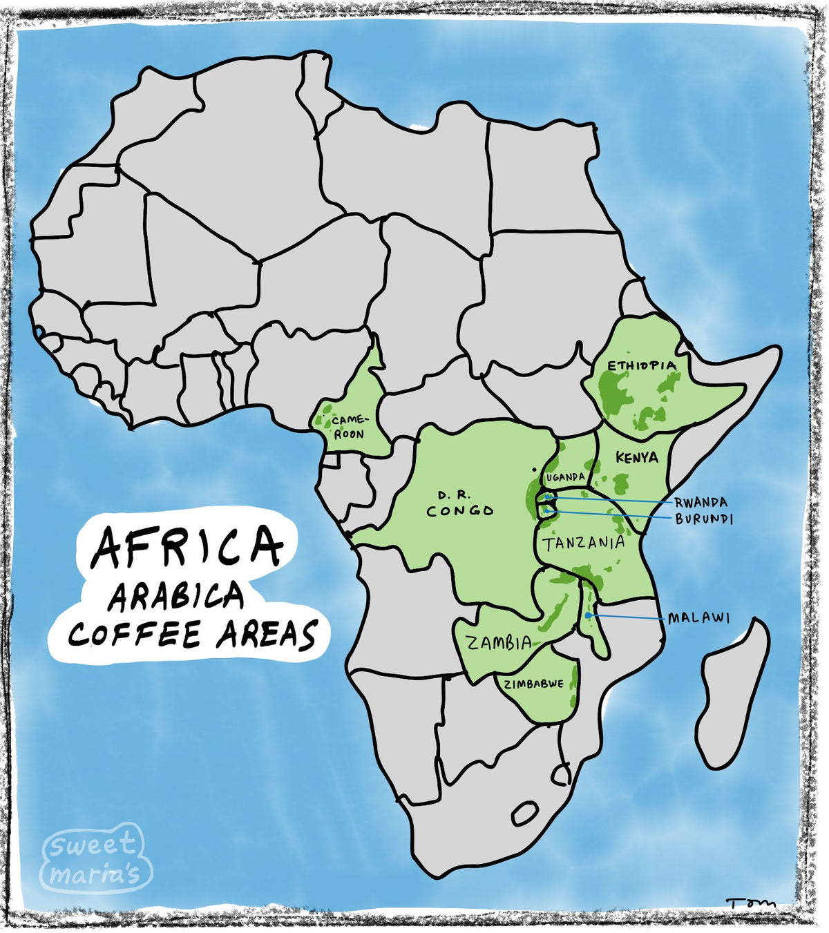 Africa - Coffee Shrub