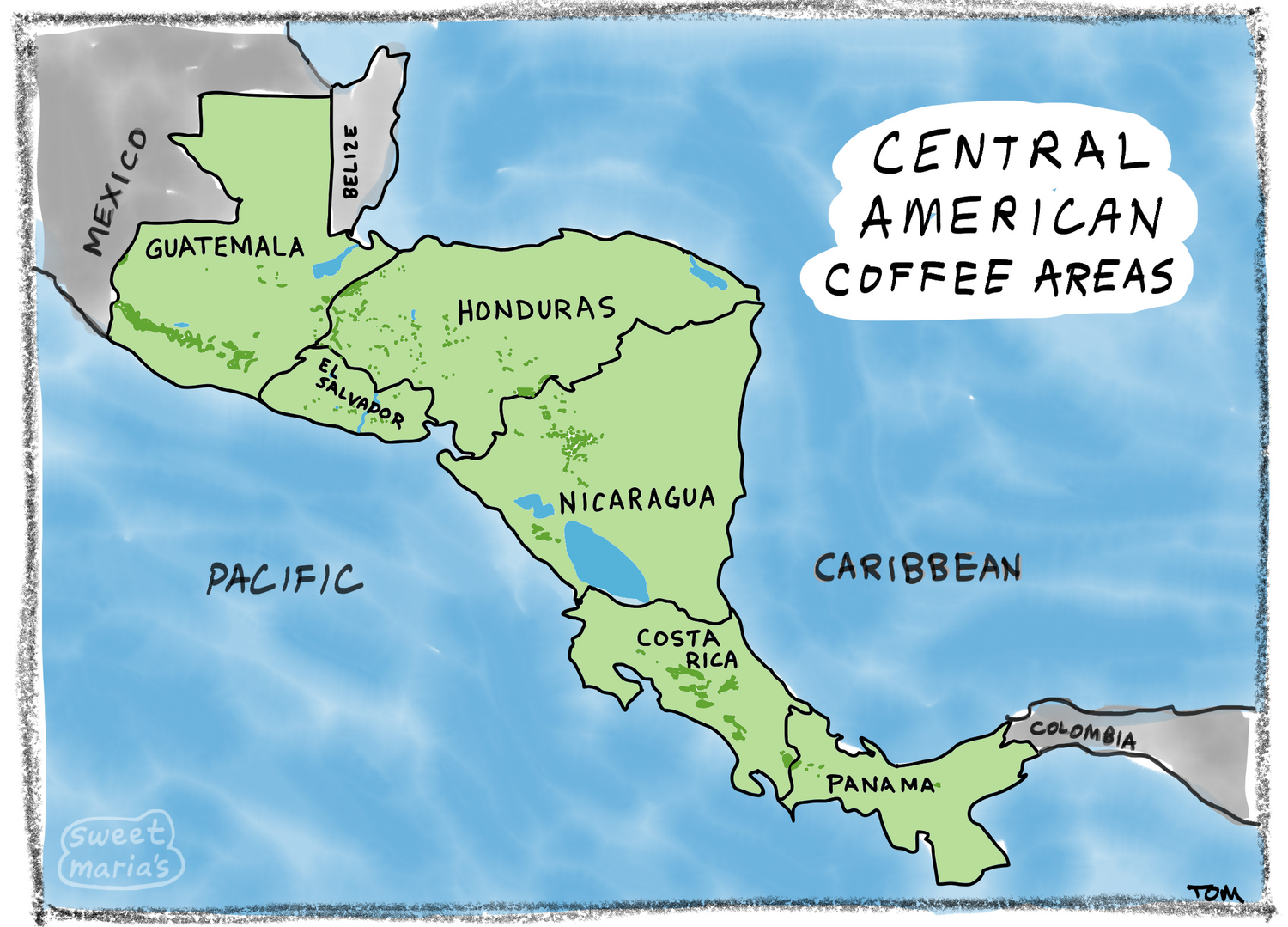 Green Coffee from Central America