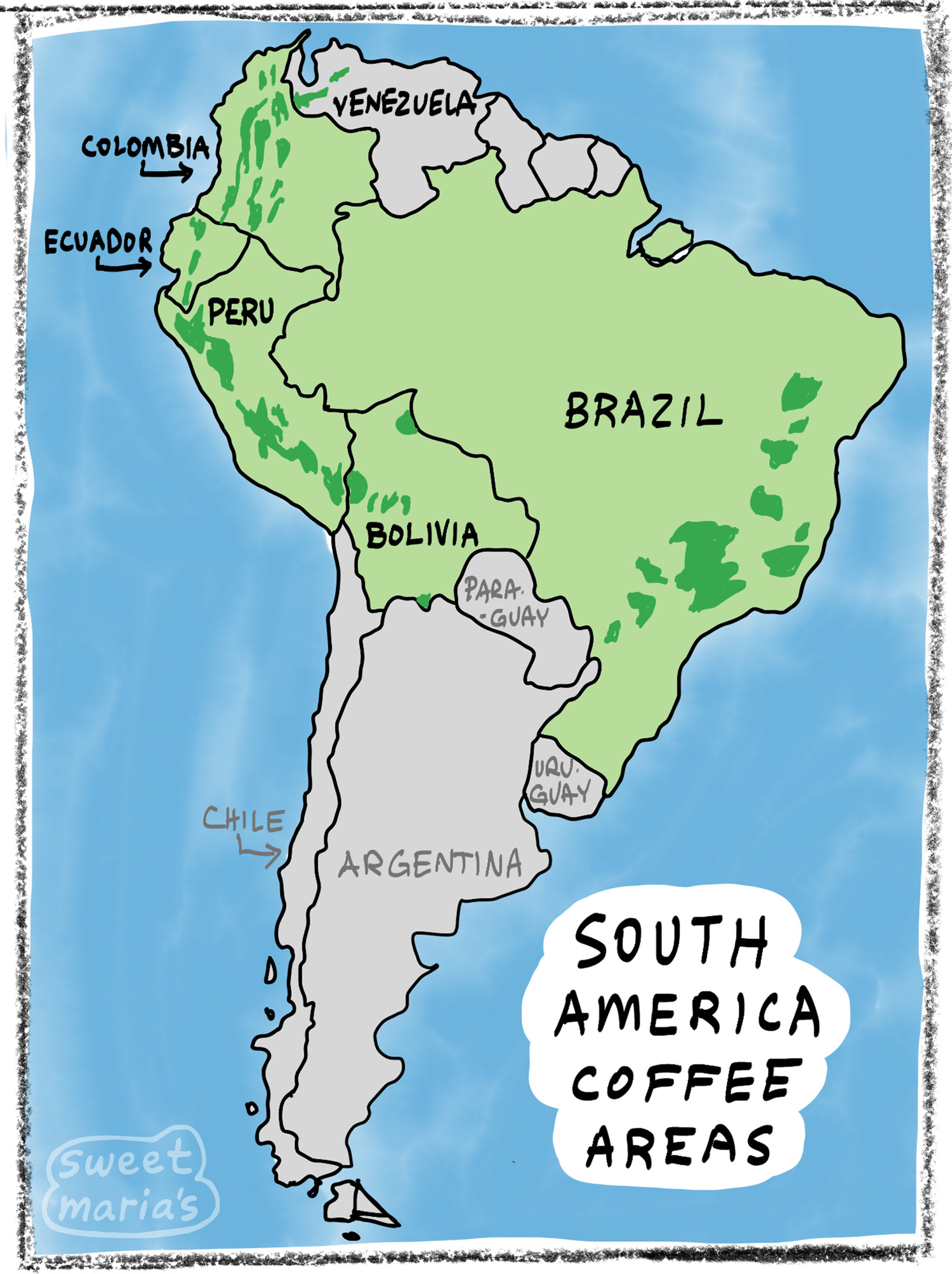 South America - Coffee Shrub