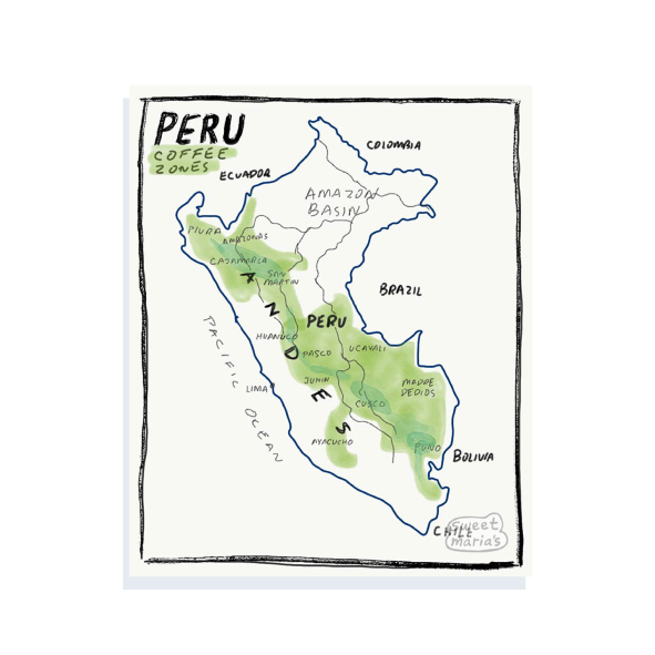 Peru - Coffee Shrub