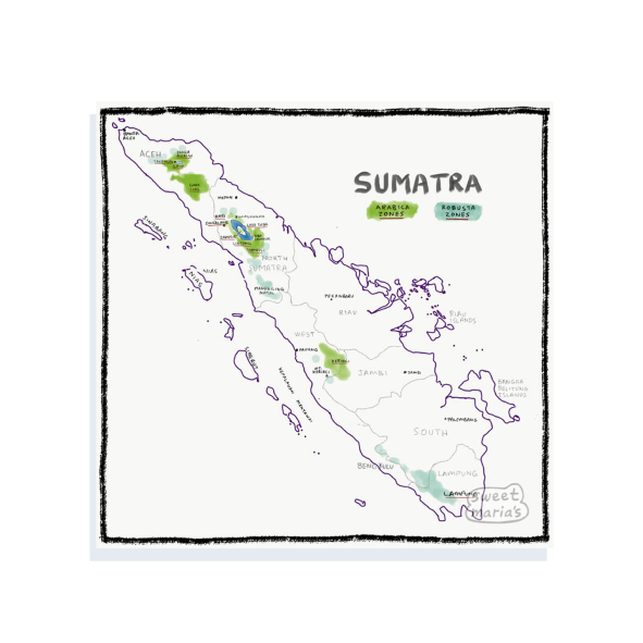 Sumatra - Coffee Shrub