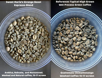 Side-by-side green coffee comparison of Strange Beasts blend and a typical wet process Guatemalan coffee.