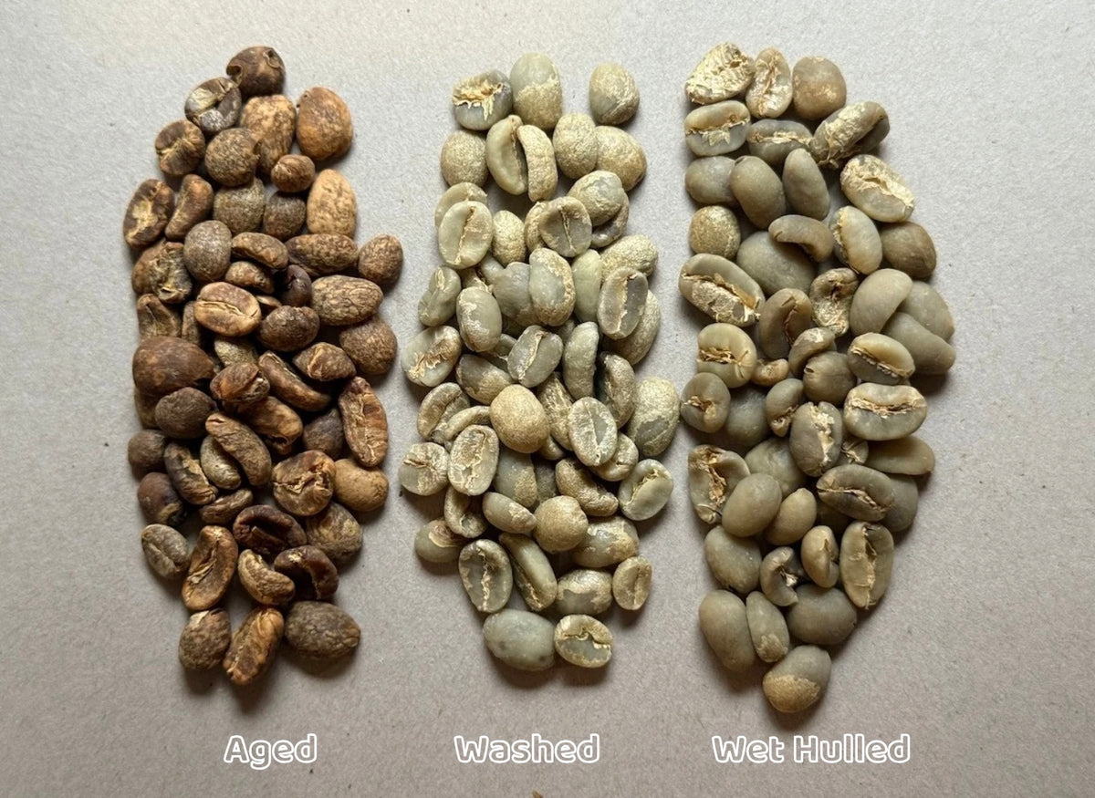 Sumatra Aged Gayo - 5 Year Vintage