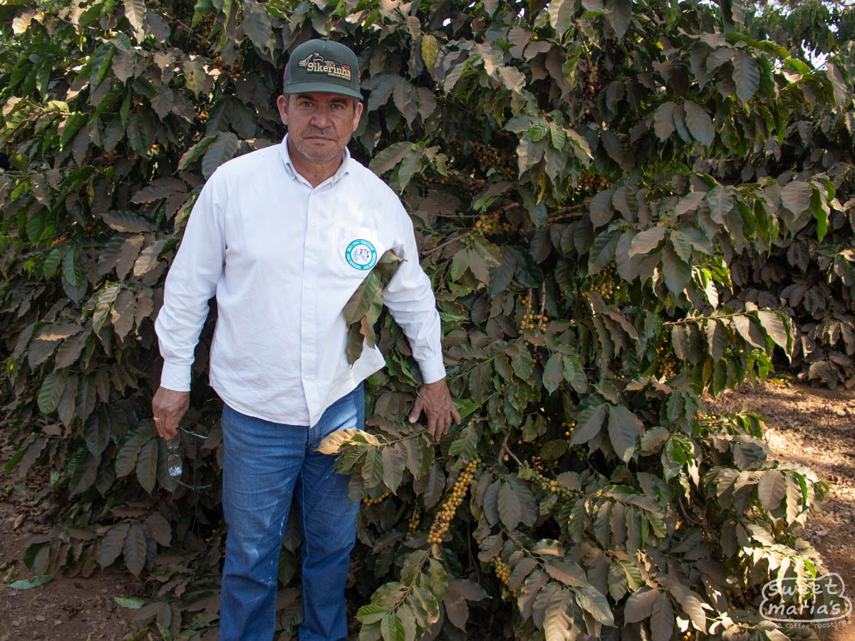 Brazil Patrocinio Fazenda Paraiso