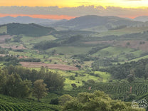  Sul de Minas. (not Sitio Tres Barras - we have yet to visit!)