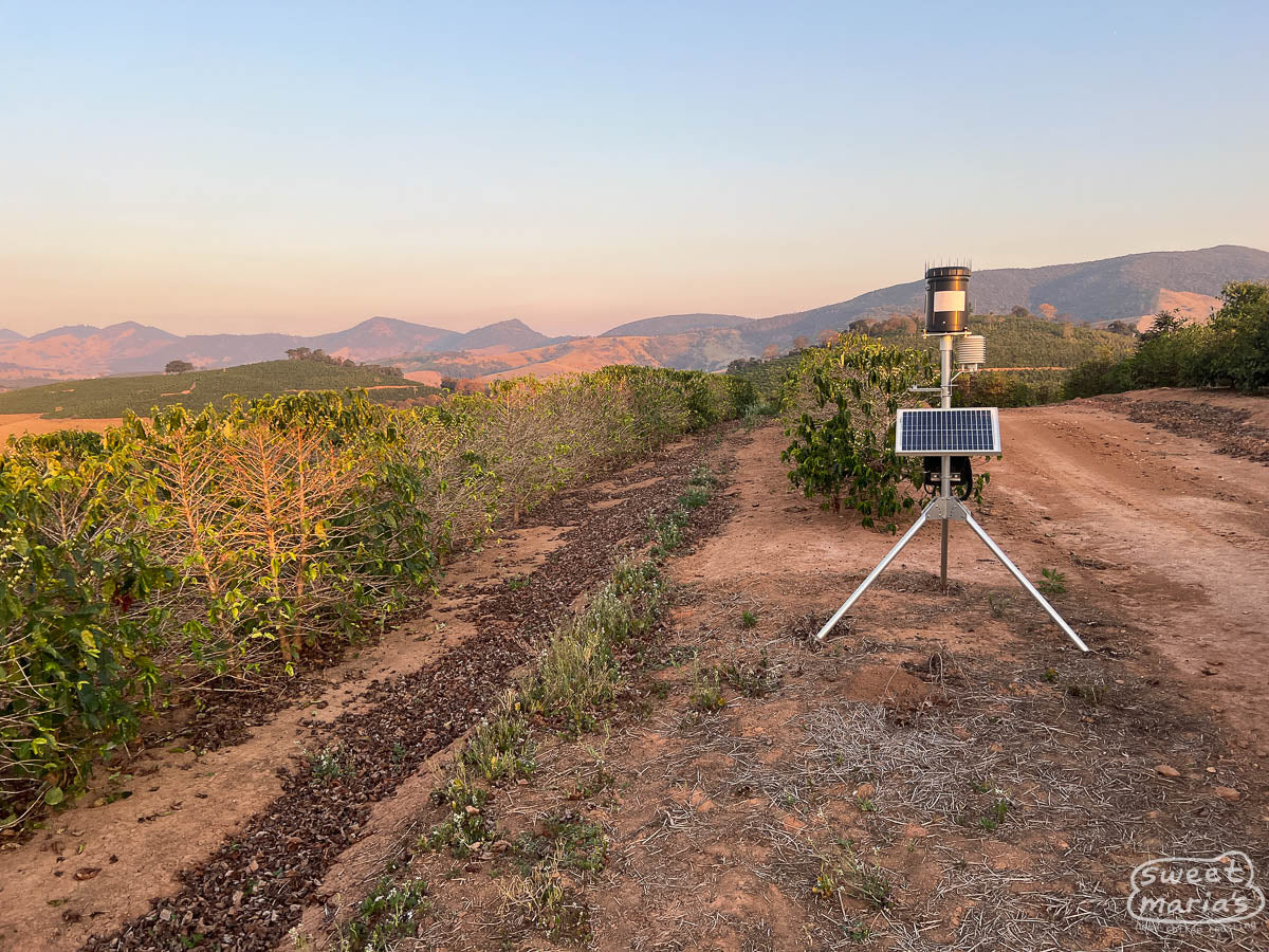  at the top of Fazenda Sao Joaquim coffee farm in Saō Sebastiaō da Bela Vista region