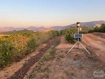  at the top of Fazenda Sao Joaquim coffee farm in Saō Sebastiaō da Bela Vista region