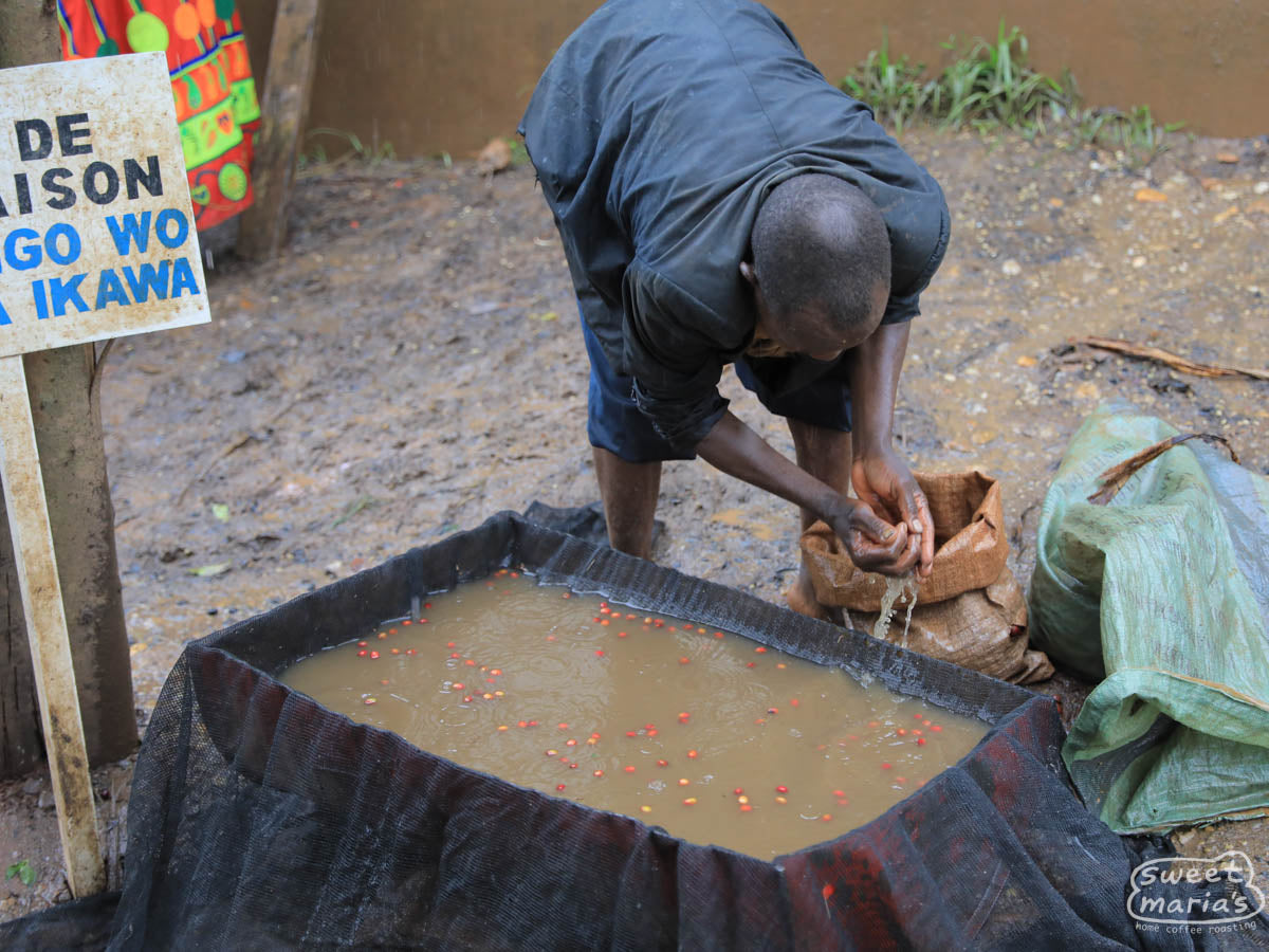  Burundi.