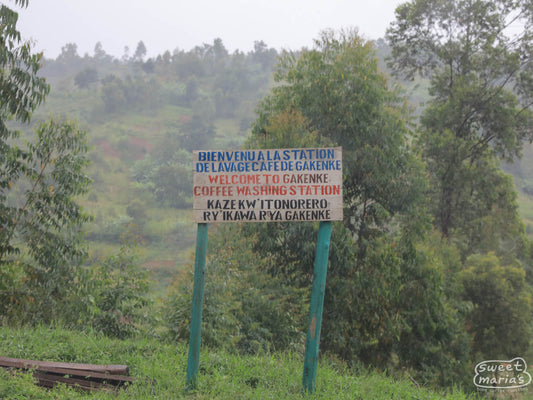 A misty morning visit at the Gakenke green coffee processing site in Gatara Commune, Kayanza, Burundi.