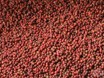  to fermentation tanks