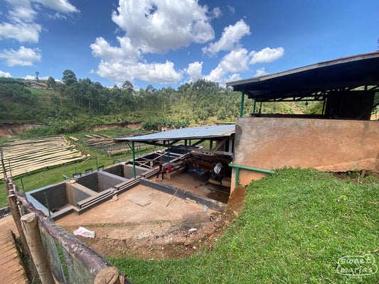 A view from the top of the Kibingo wet mill helps to illustrate how the coffee processing moves from top to bottom - pulper, to fermentation tanks, to the drying beds below. Kayanza, Burundi.