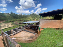 A wide angle shot of the Kibingo wet mill in Kayanza.