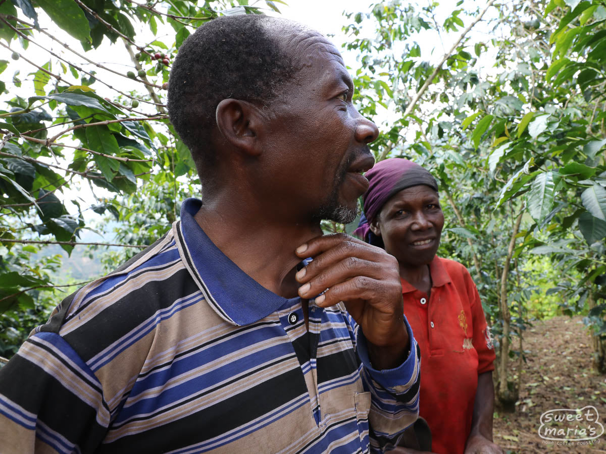 A photo of Isadore and Susana, small holder coffee farmers in Murambi Hill area, from our first visit in 2019.