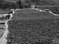  Burundi.
