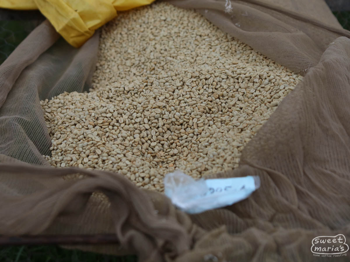  Kayanza