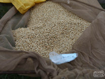 Kayanza