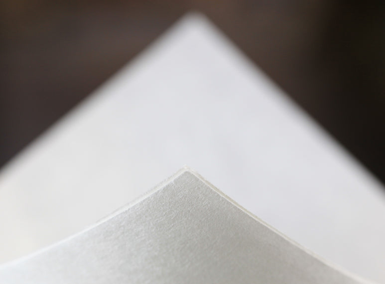 Chemex White Filters (FS-100)