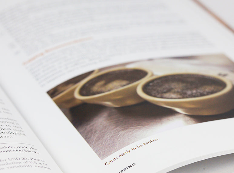 Image from The Coffee Roaster's Companion book by Scott Rao mapping air flow in a drum roaster