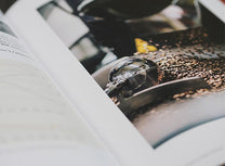 Coffee Roasting: Best Practices by Scott Rao