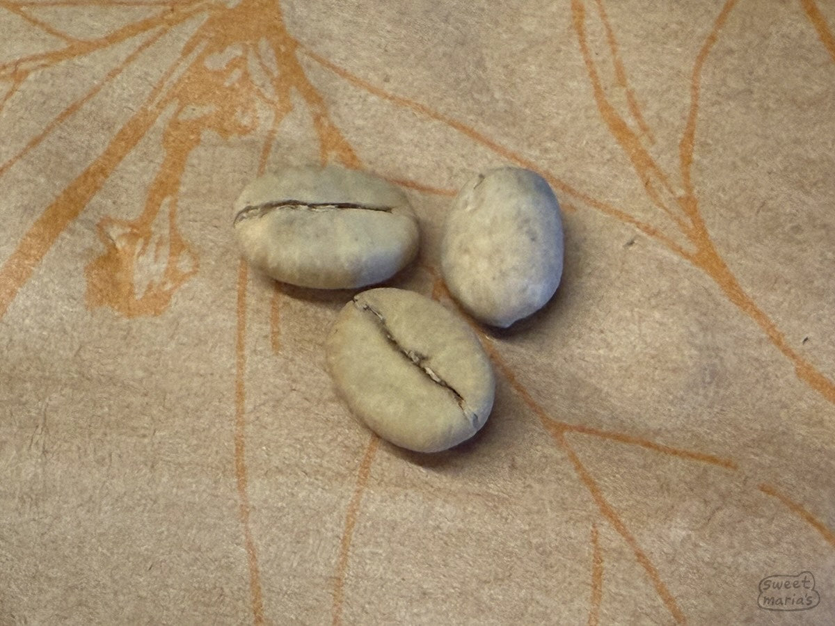This is what the 3 seeds you will get roughly look like.