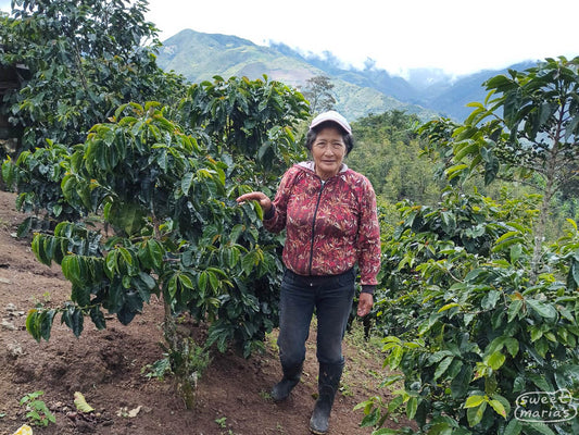 Sonia stands next to her coffee at La Loma.