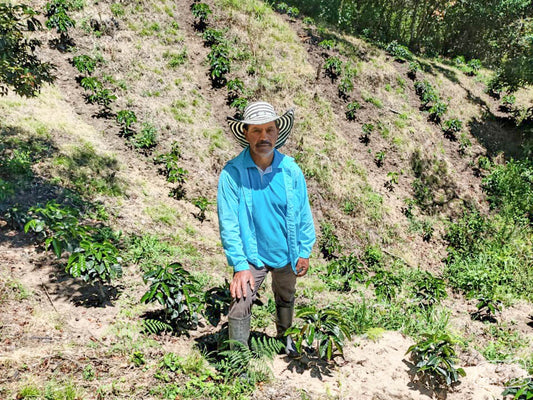 Coffee farmer Jose Miguel Paz stands for a photo next to new plantings at his farm in Buesaco, Nariño.