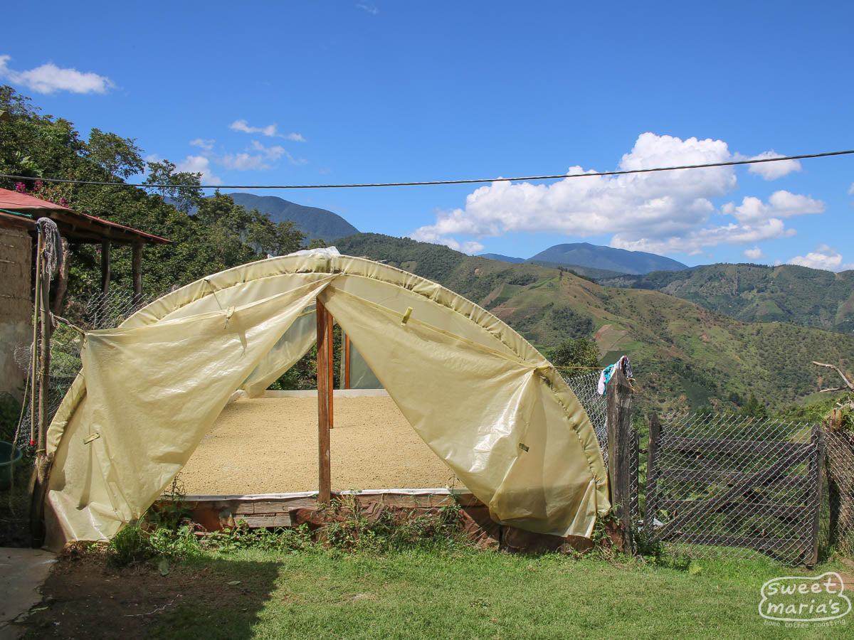 The small wet mill at Don Ruben's farm in El Noque