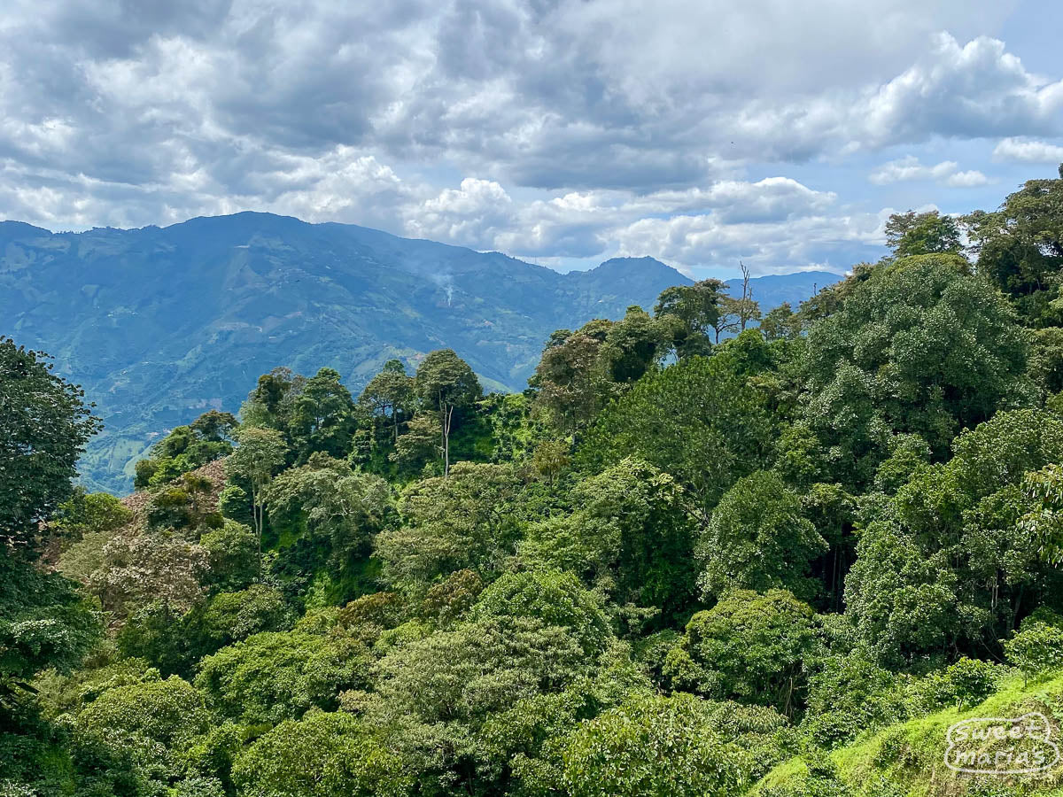  Antioquia