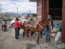  Colombia.