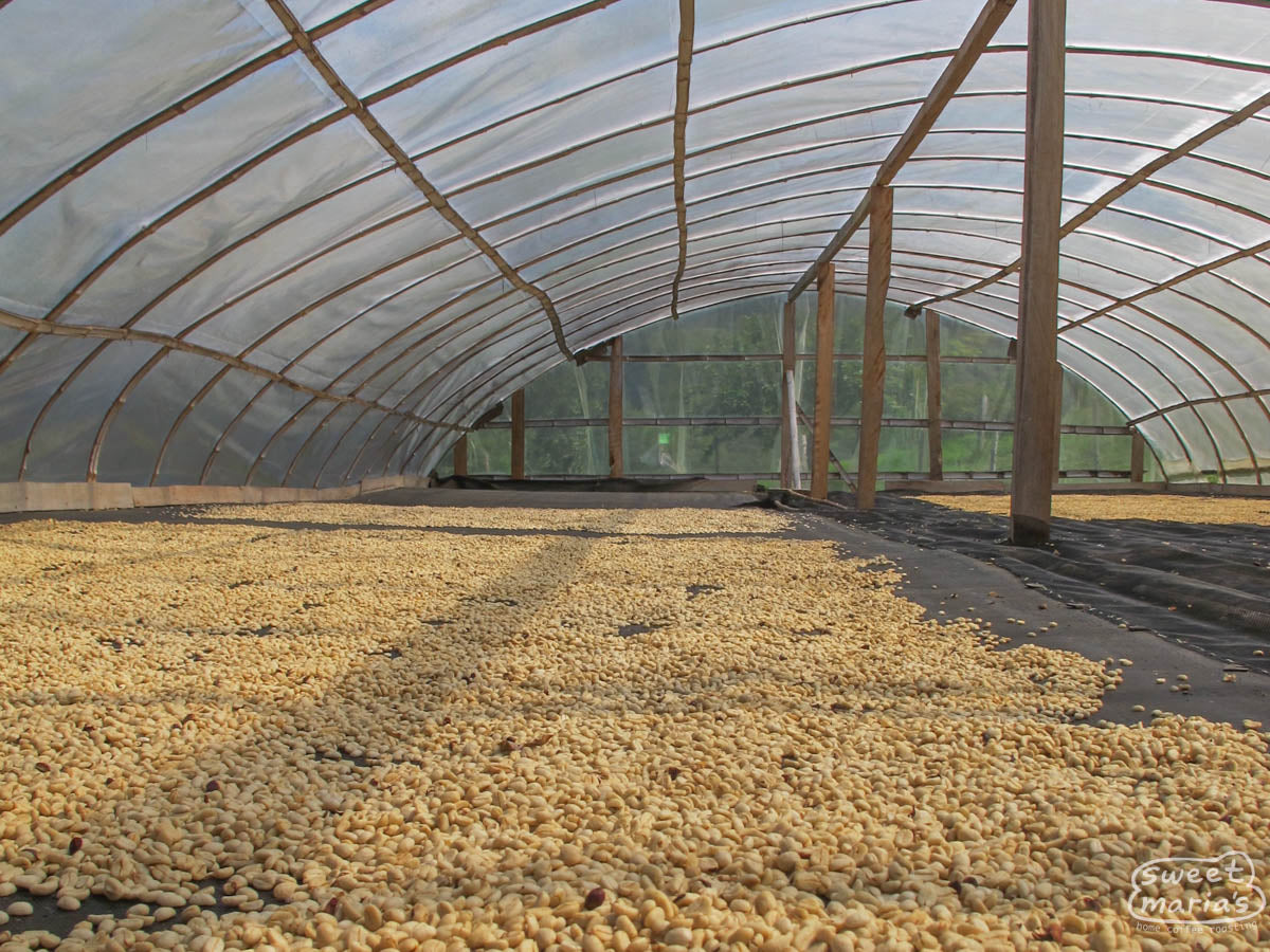  a source of fresh water for many small coffee farming communities. Cauca