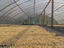  a source of fresh water for many small coffee farming communities. Cauca