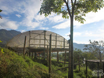 A covered parabolic coffee drying room is raised off the ground on stilts so that air can flow beneath the coffee too. Inzá, Cauca.