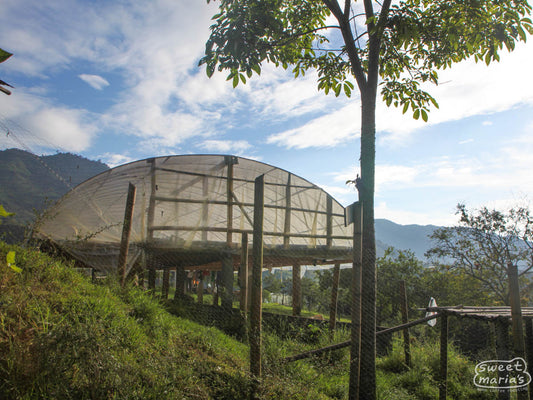 A covered parabolic coffee drying room is raised off the ground on stilts so that air can flow beneath the coffee too. Inzá, Cauca.