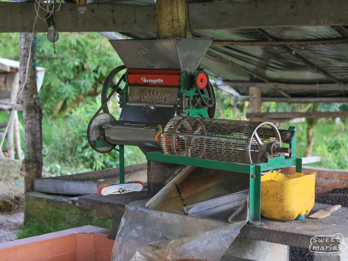 The washing station at Raul Hector's farm in Alto San Francisco