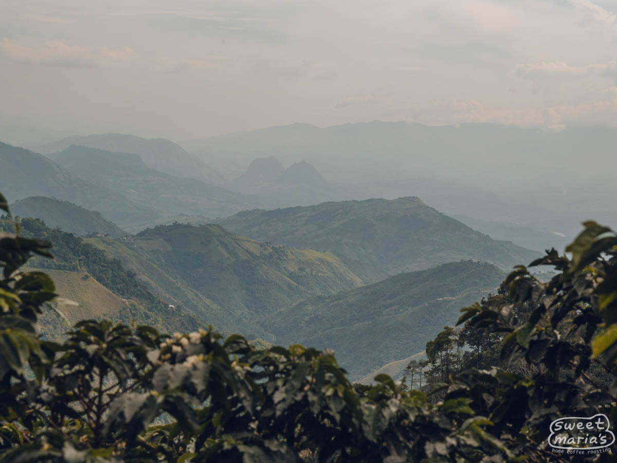  Colombia.