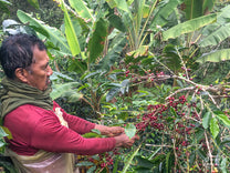  Colombia.