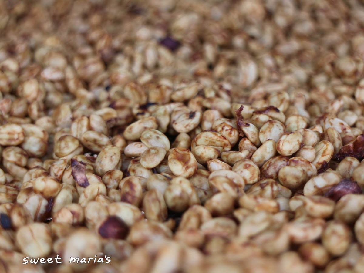 With honey process coffee, the fruit mucilage that remains intact to the bean turns a dark red color as it dries. This domed drying room is at the edge of Vereda Páramo, Aponte.