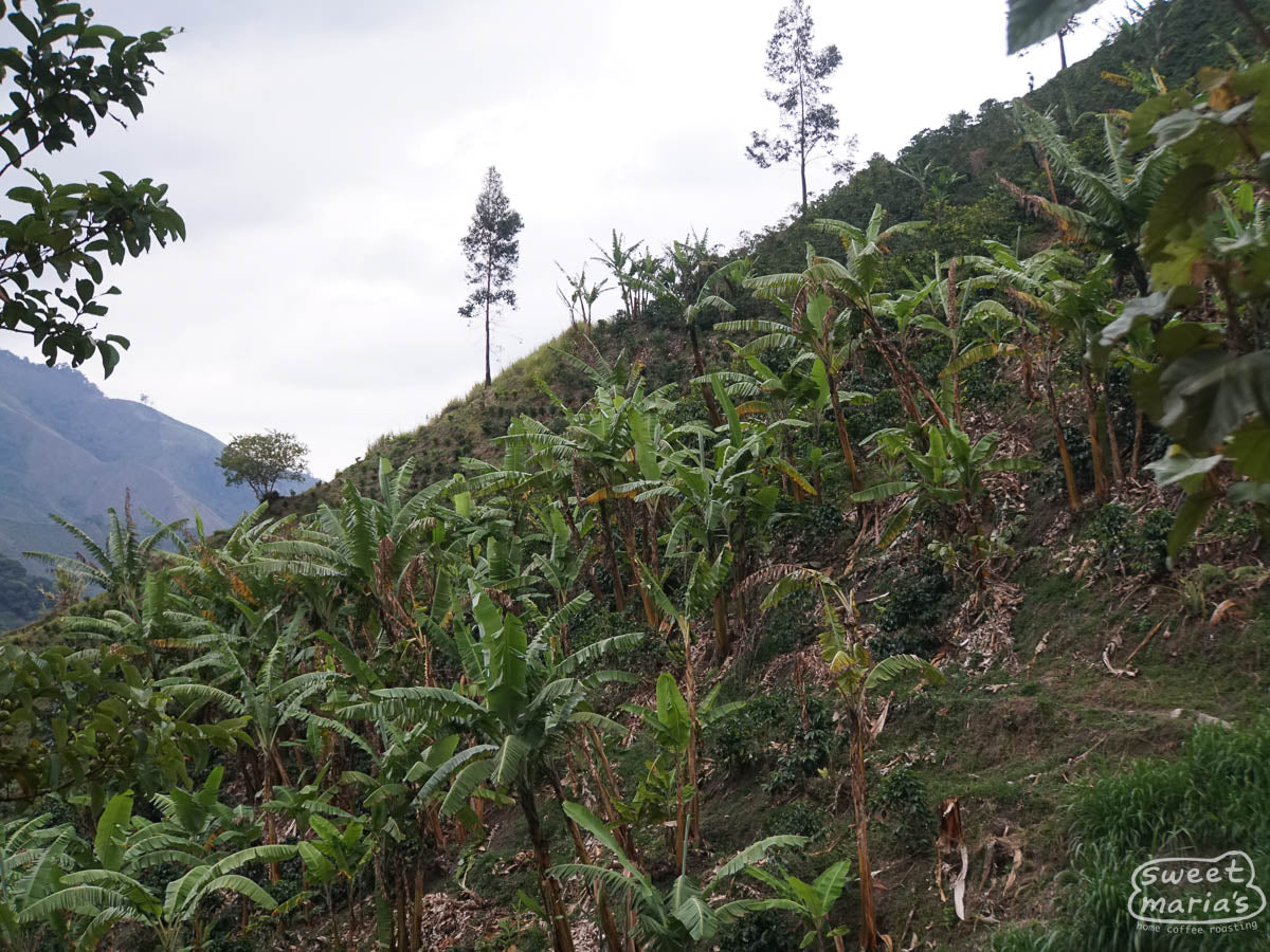  Colombia.