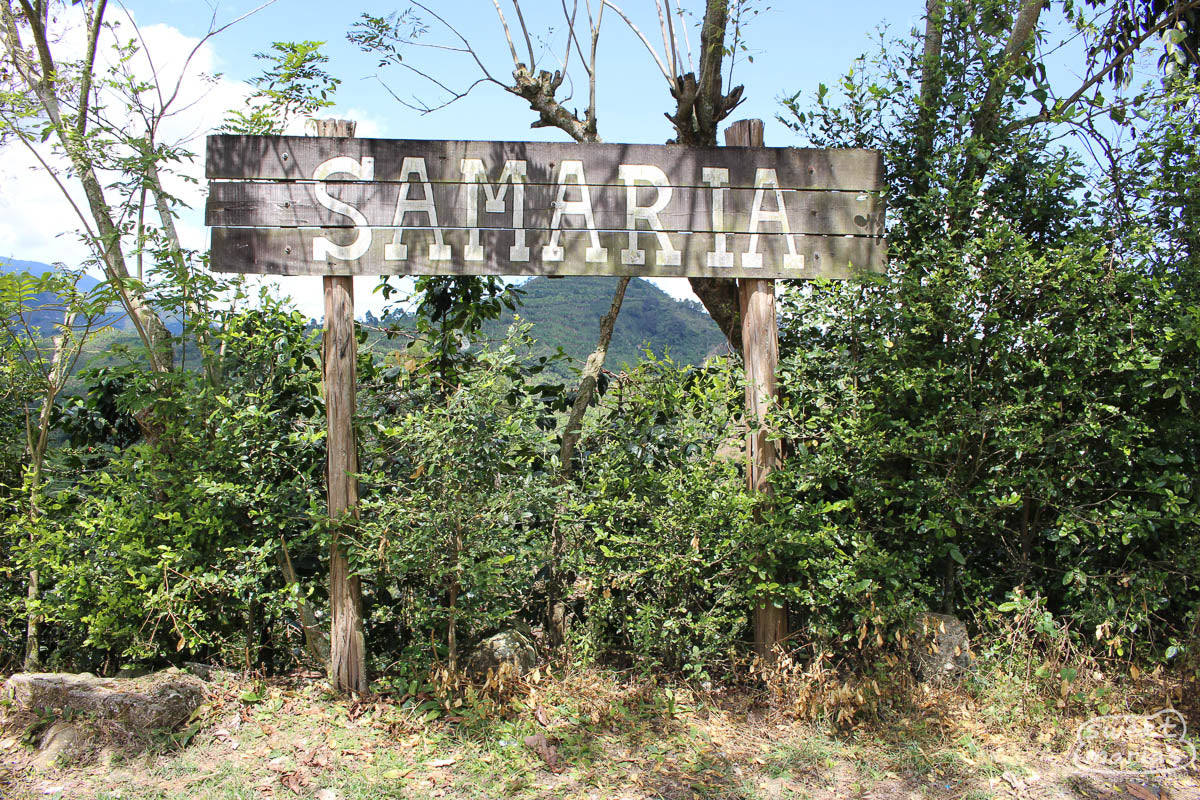The wooden sign that greets you at Samaria coffee farm in Belén de Umbria, Risaralda, Colombia.
