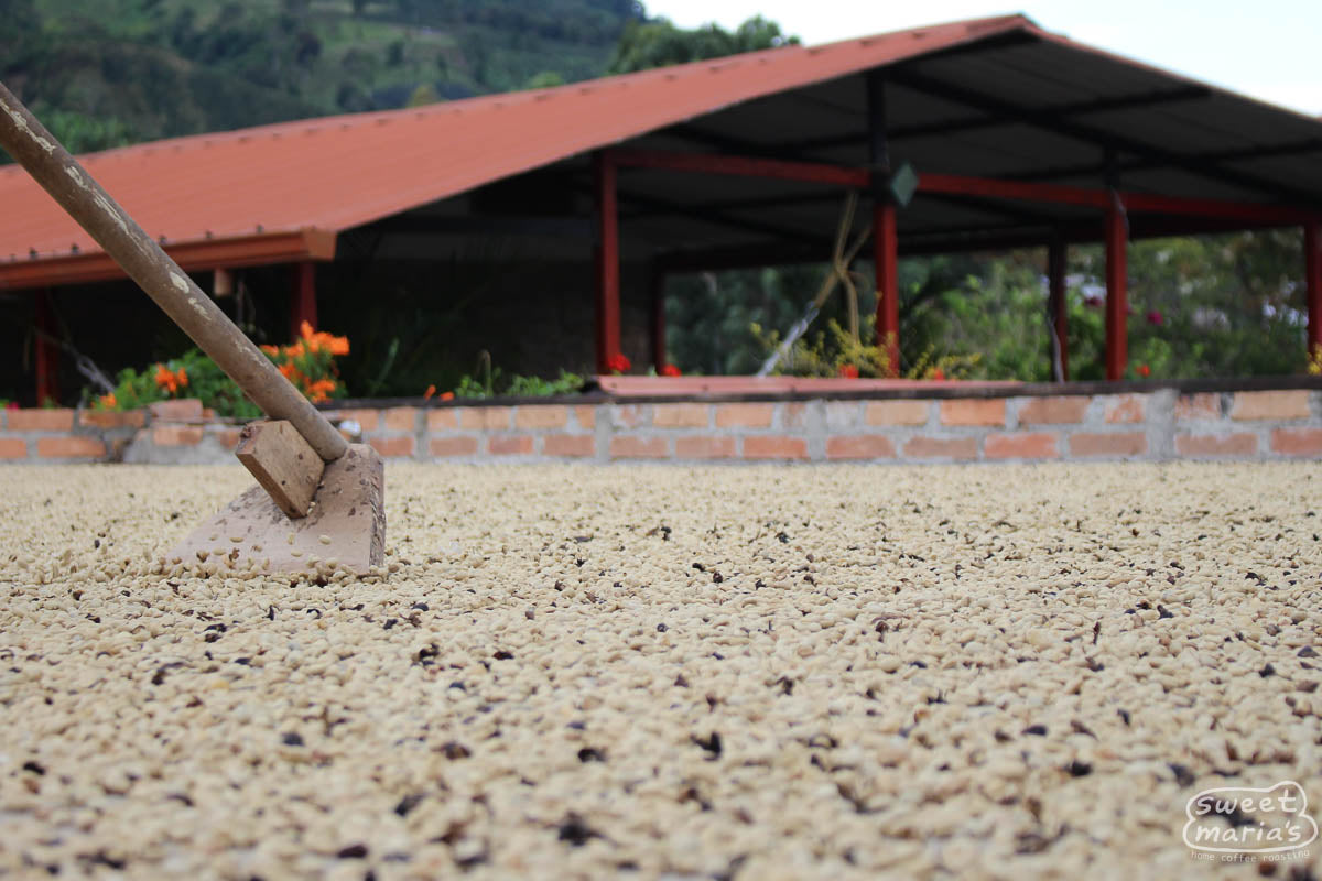 The wooden sign that greets you at Samaria coffee farm in Belén de Umbria, Risaralda, Colombia.
