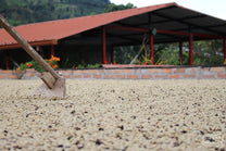 The wooden sign that greets you at Samaria coffee farm in Belén de Umbria, Risaralda, Colombia.