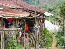 A view of the coffee-covered mountainside above China Alta town