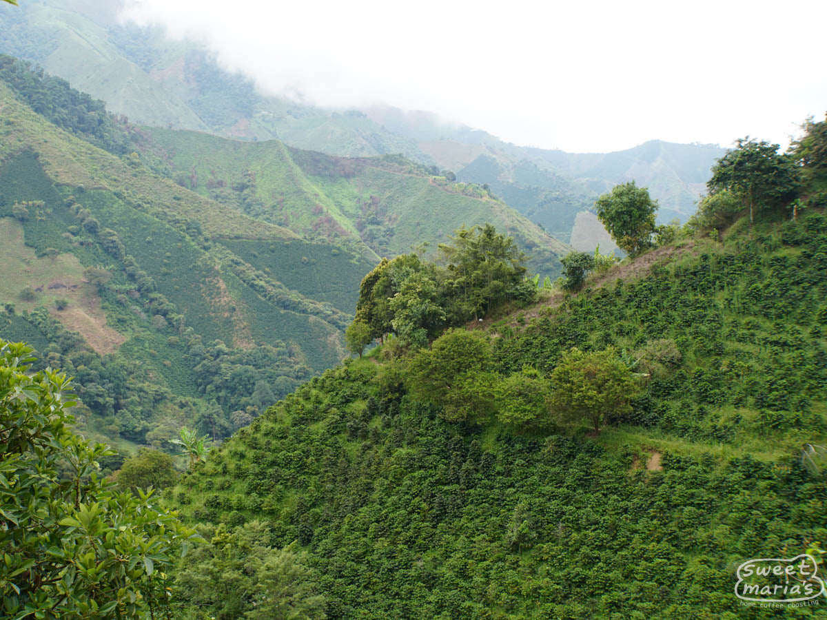 Farm view from a high hill in China Alta region, Tolima.