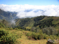 Jutting canyons in Rivas region, with coffee trees planted on the steep slopes above. Chirripo, Costa Rica.