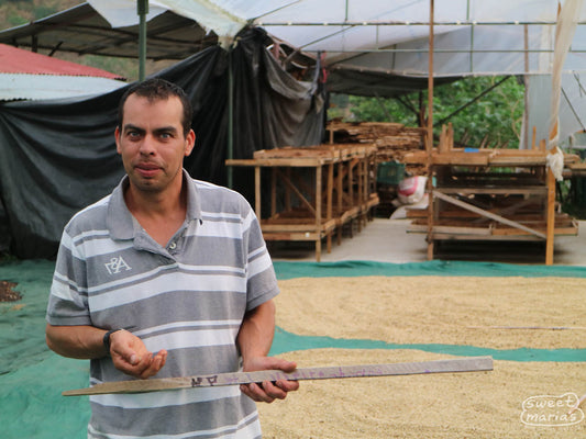 Jose at his drying patio space where green coffee dries on a tarp-lined patio as well as raised wood-frame drying beds. Chirripo, Costa Rica.