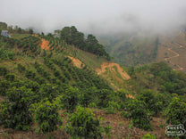  Costa Rica.