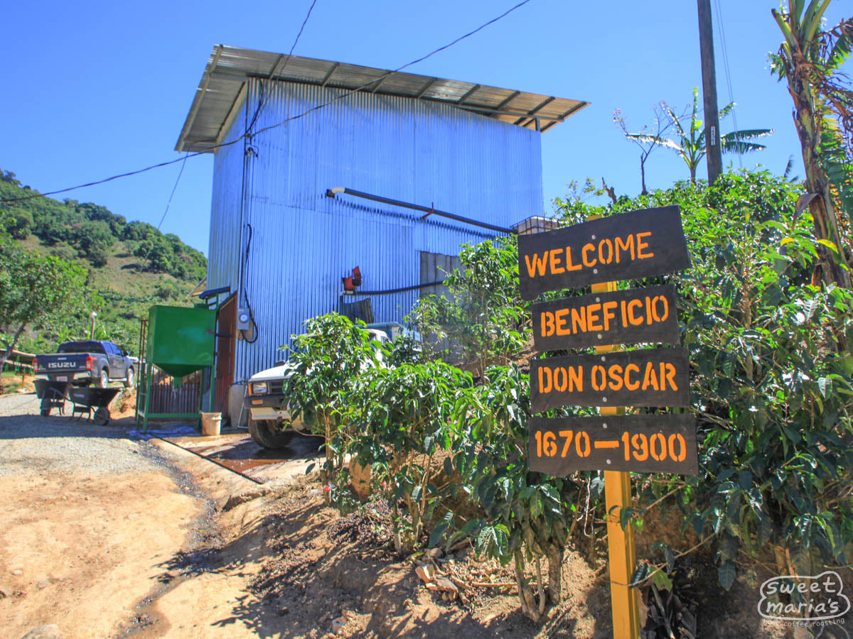 The old sign from Don Oscar which has been replaced now that they have coffee above 2000 meters! Canet, Tarrazu, Costa Rica.
