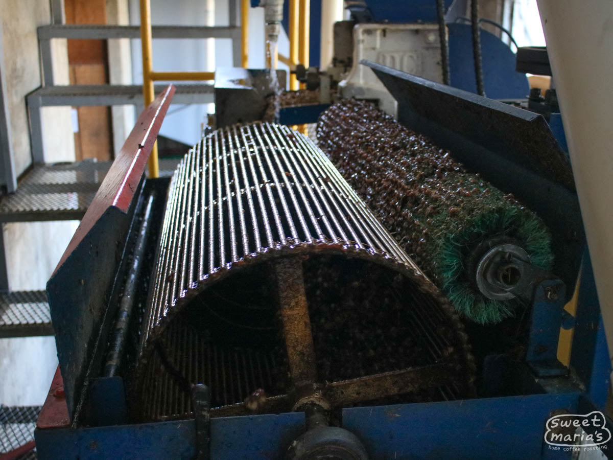 The "criba" machinery that is separates things like cherry husks and sticks from the pulped coffee at Monte Brisas.