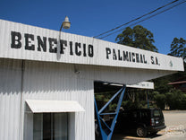  Tarrazu.