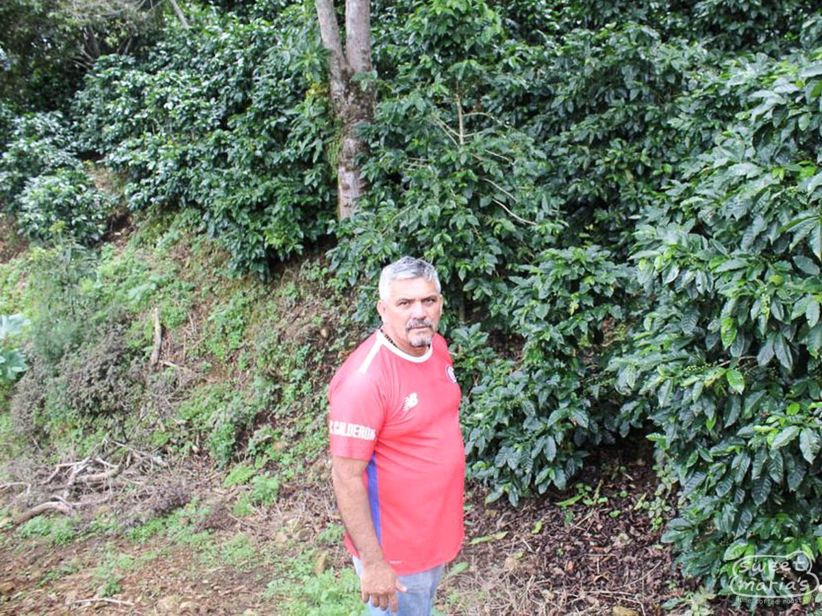 Rodolfo Valverde poses for a photo at his farm, "Arecas", in Palmichal de Acosta, Costa Rica.